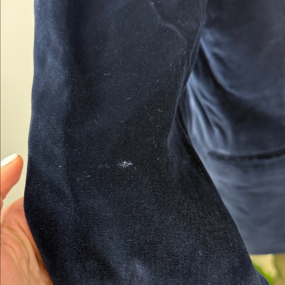 Edgar Pomeroy Saks Fifth Avenue Luxurious Velvet Blazer with Gold Accents - Picture 8 of 12